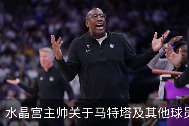水晶宫主帅关于马特塔及其他球员伤情的分析